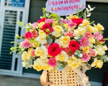 Ảnh 6