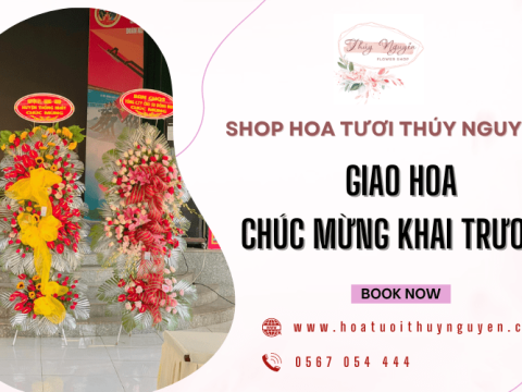 Địa chỉ giao hoa chúc mừng khai trương Thống Nhất uy tín nhất