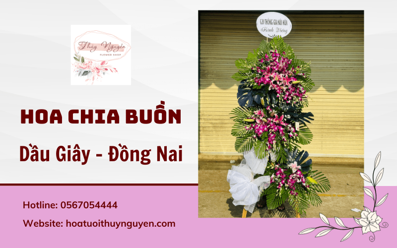 hoa chia buồn