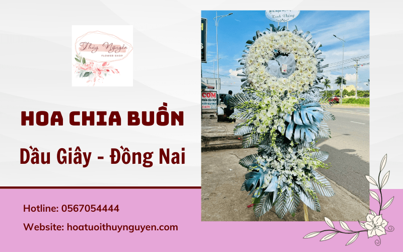 hoa chia buồn