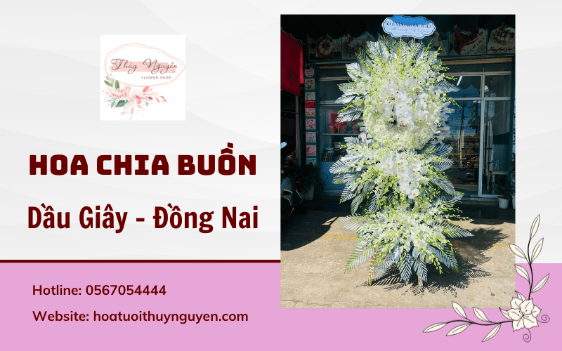 hoa chia buồn